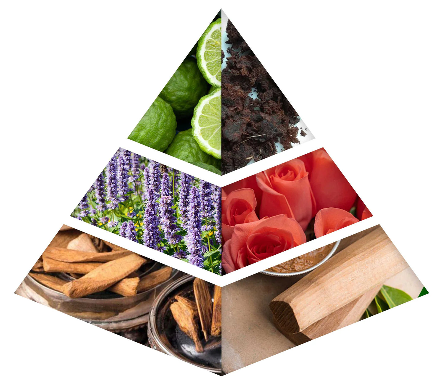 OUD MUATTAR QAISER | SANDALWOOD MUSK