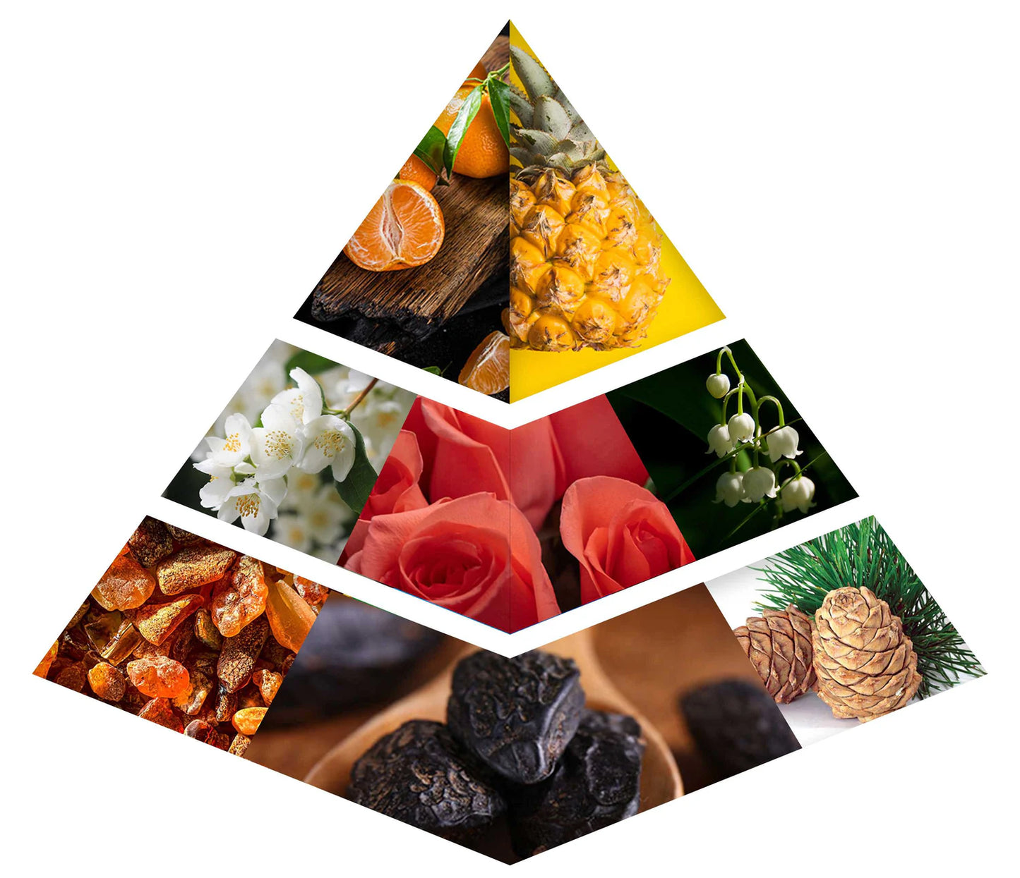 OUD MUATTAR GHANAATI | AMBER ROSE